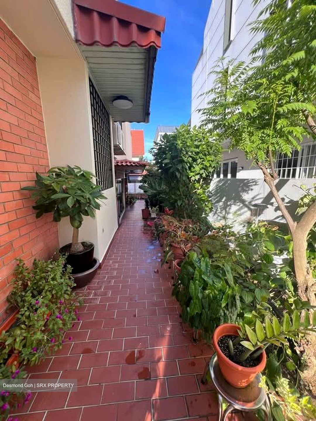 West Coast Gardens (D5), Terrace #559710731